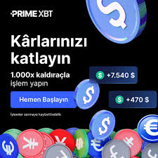 Uzmanlar için PrimeXBT Forex Rehberi Uzmanlar için PrimeXBT Forex Rehberi