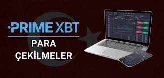 Your Gateway to Success PrimeXBT Forex Trading Your Gateway to Success PrimeXBT Forex Trading
