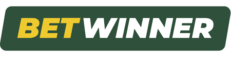 All You Need to Know About Betwinner Login 10